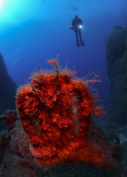 Kemer'in su altı güzellikleri büyülüyor 3