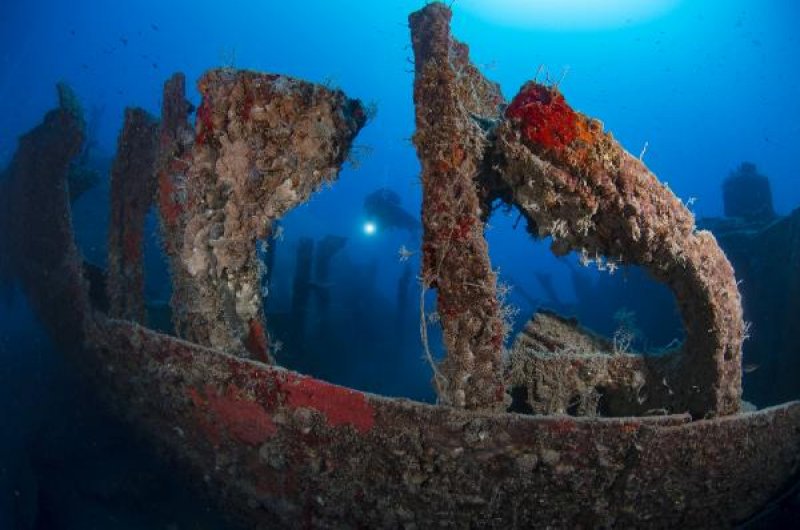 Kemer'in su altı güzellikleri büyülüyor 9