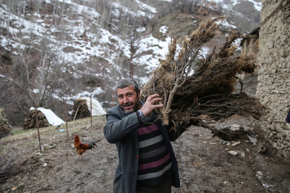 Hizan'ın taş evleri 5