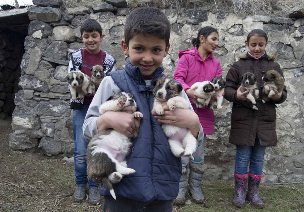 Kars'ın Arpaçay ilçesinde dört çocuk, oyun oynarken harabe bir evde 2