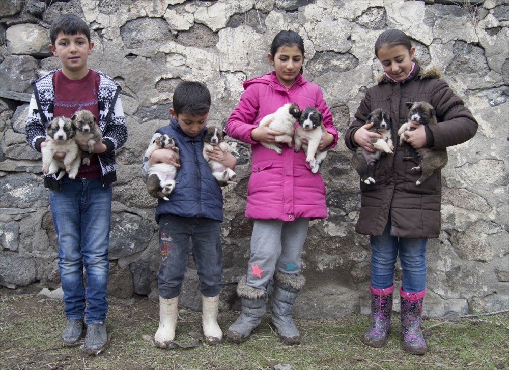 Kars'ın Arpaçay ilçesinde dört çocuk, oyun oynarken harabe bir evde 4