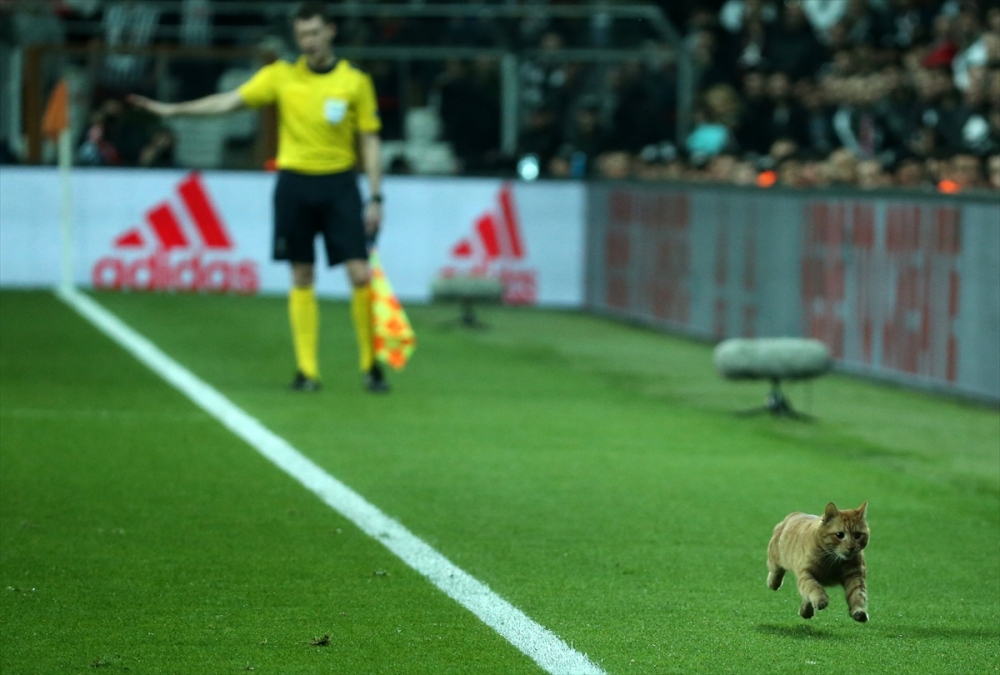 Beşiktaş Bayern Münih maçından kareler 10