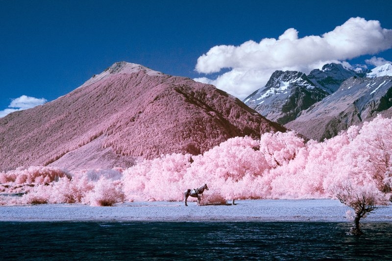 Fotoğrafçı Paul Hoi'den muhteşem kızılötesi fotoğraflar 14