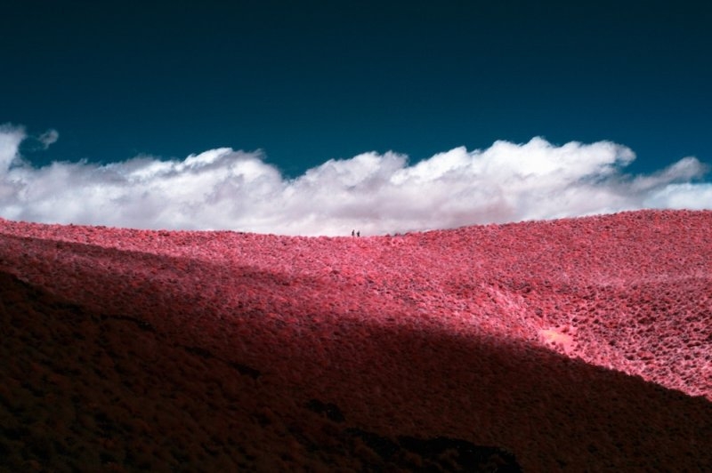 Fotoğrafçı Paul Hoi'den muhteşem kızılötesi fotoğraflar 4