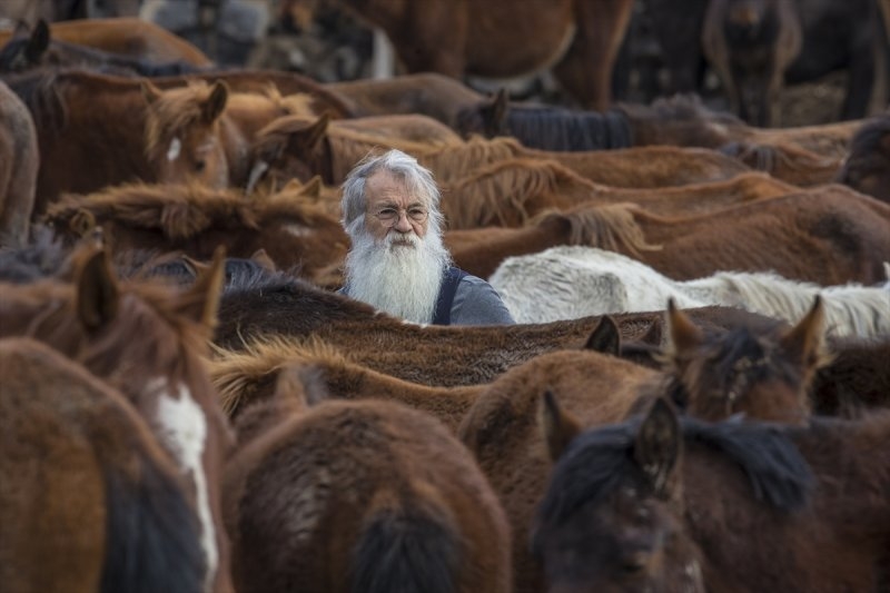 Yılkı atları yerli ve yabancı fotoğrafçıların gözdesi oldu 1