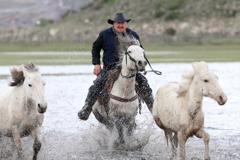 Yılkı atları yerli ve yabancı fotoğrafçıların gözdesi oldu 14