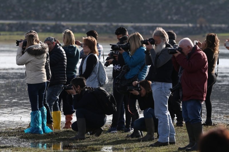 Yılkı atları yerli ve yabancı fotoğrafçıların gözdesi oldu 15