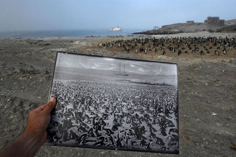 Yılın en çarpıcı fotoğrafları 21