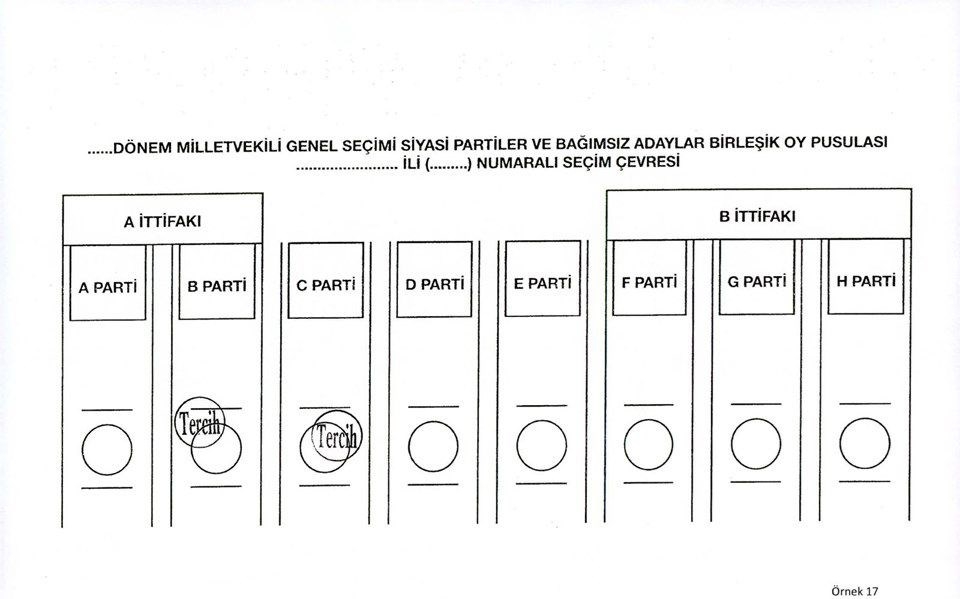 Nasıl oy kullanacağınızı biliyor musunuz? 17