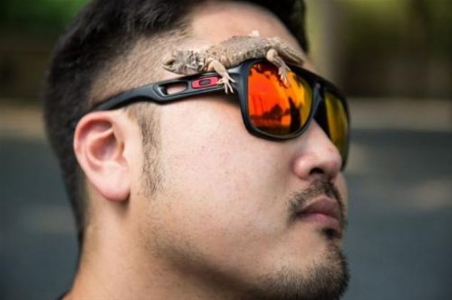 En ilginç evcil hayvanlar! 12