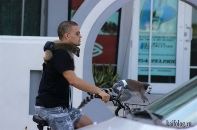 En ilginç evcil hayvanlar! 16