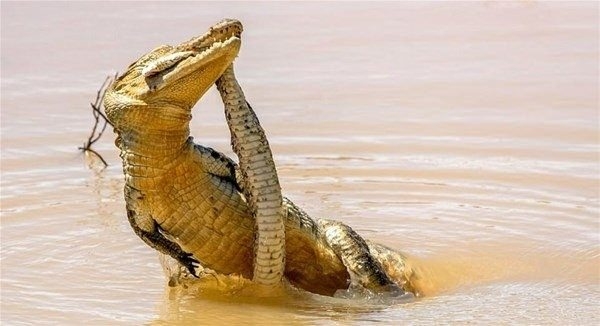 Nefes kesen karşılaşma! 18