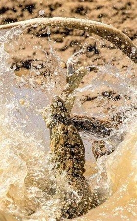 Nefes kesen karşılaşma! 21