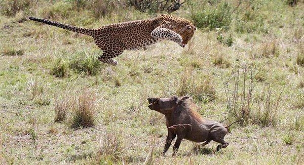 Nefes kesen karşılaşma! 24