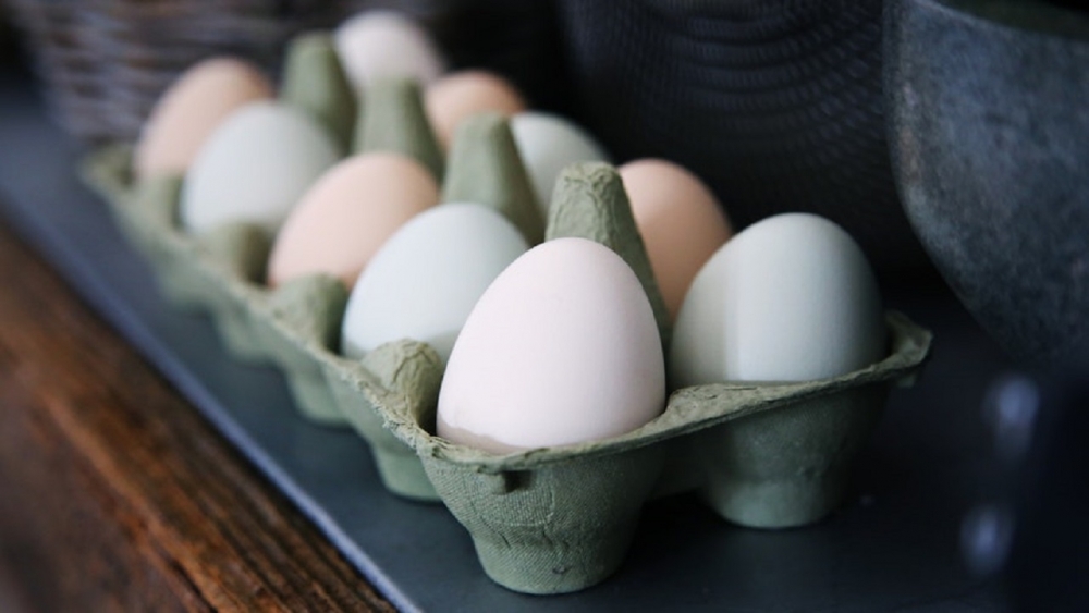 İşte Yumurta diyetinde bilmedikleriniz? Yumurta diyeti nedir? 1