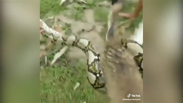 Daha önce hiç görmediğiniz vahşi yaşam kareleri! 57