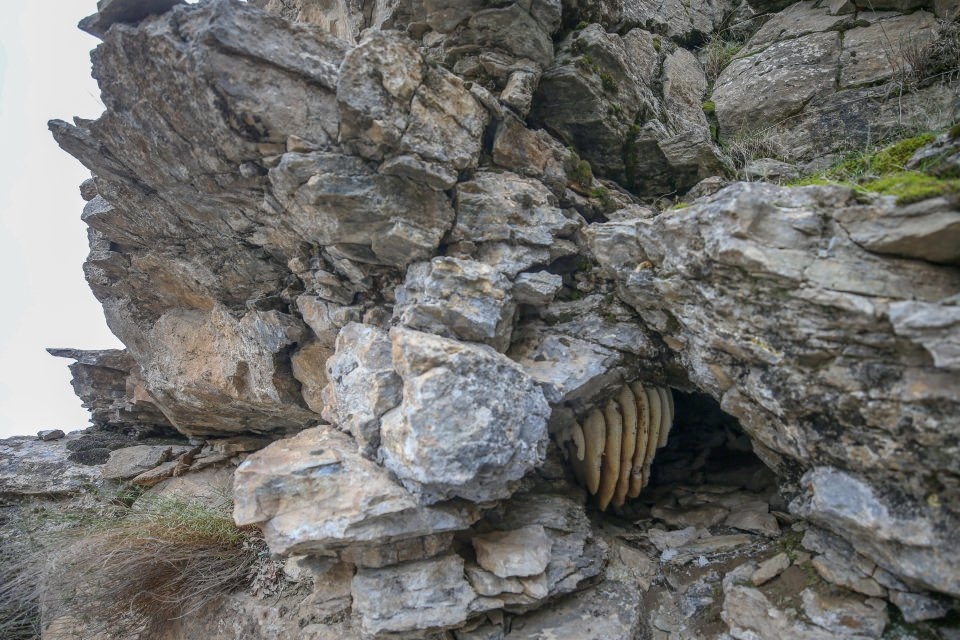 Kayadan çıkıyor! Sofraların vazgeçilmezi... 13