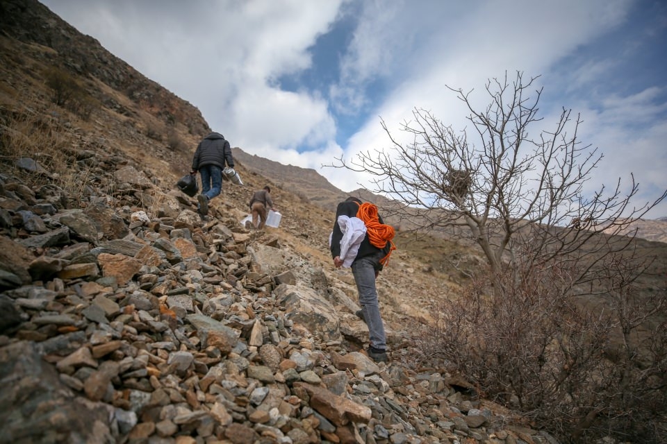 Kayadan çıkıyor! Sofraların vazgeçilmezi... 7