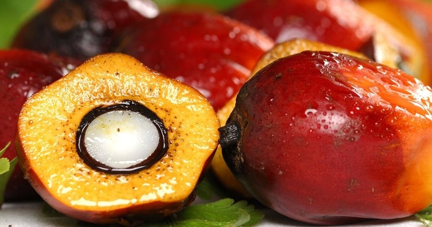 Aileler dikkat! (PALM) bebeğinizi tehdit ediyor 14