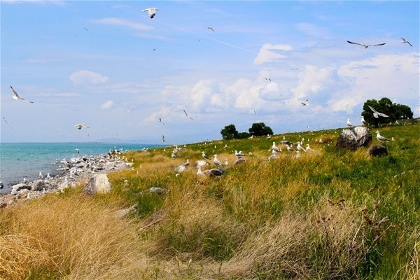 Konya'da hayran bırakan görüntü!Muhteşem güzellik... 15