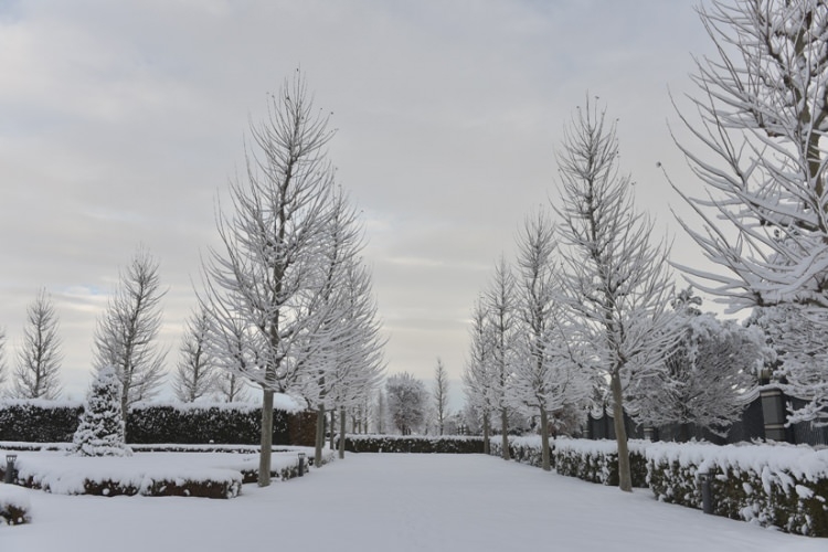 Cumhurbaşkanlığı Külliyesi beyaza büründü! 17