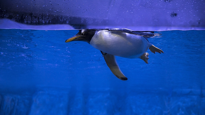 İstanbul'da çocuklar için sömestr tatilinin en eğlenceli adresleri 10
