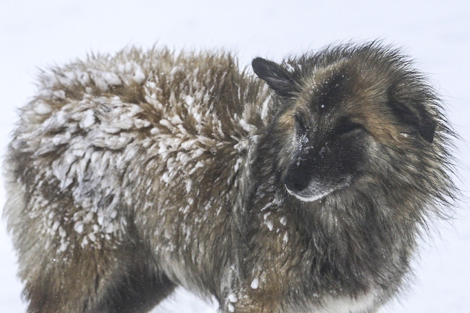Onların yardımına AKUT yetişti! 8