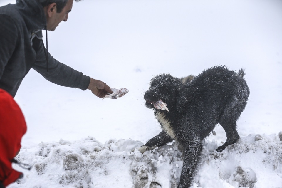 Onların yardımına AKUT yetişti! 9