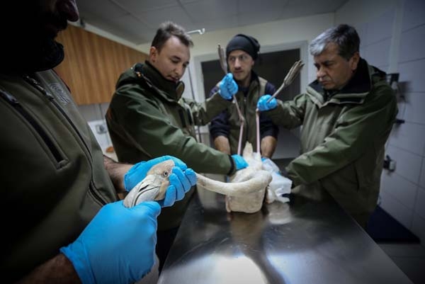 Yolda buldu, arabasına aldı ve onlara bu sözlerle sitem etti 10