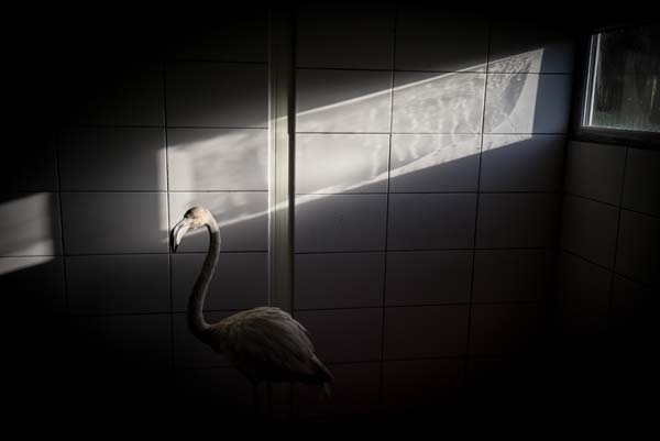 Yolda buldu, arabasına aldı ve onlara bu sözlerle sitem etti 15