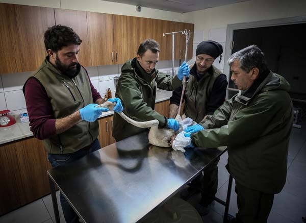 Yolda buldu, arabasına aldı ve onlara bu sözlerle sitem etti 6