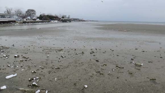 Deniz 150 metre çekildi! İstanbul ve Tekirdağ'dan korkutan görüntül 8