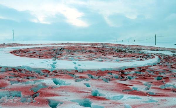 Tüm dikkatler oraya çevrildi! Türkiye'de ilk kez... 9