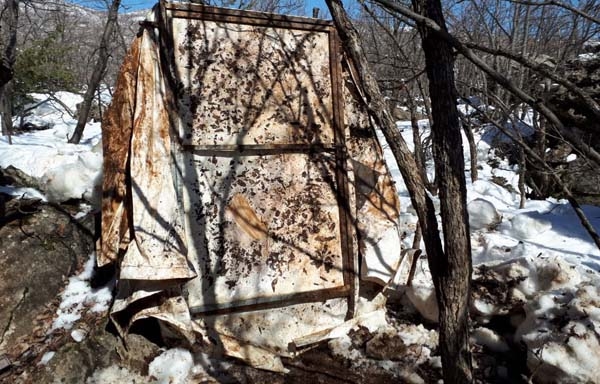 Yer: Diyarbakır... Böyle görüntülendiler 13