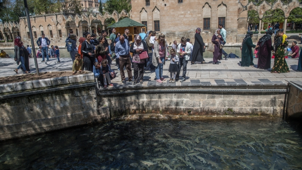 Balıklıgöl'de "Göbeklitepe Yılı" bereketi yaşanıyor! 3