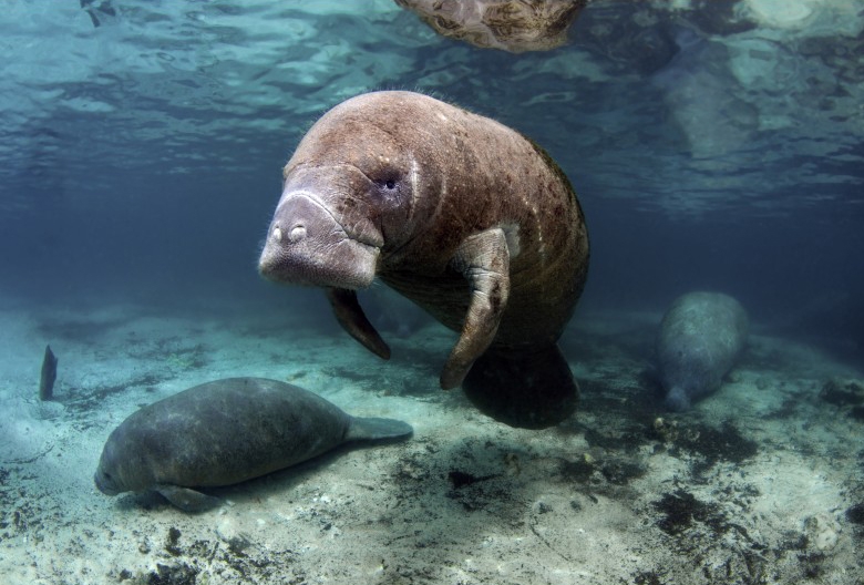 Böyle öleceklerini kim bilebilirdi? 6