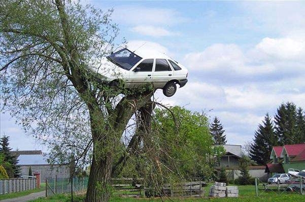 Bu kadar da olmaz demeyin!.. 5