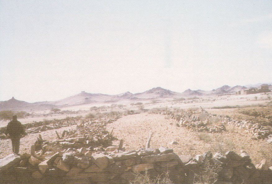 Şehitlerimizi gurbet topraklarına emanet bıraktık 31