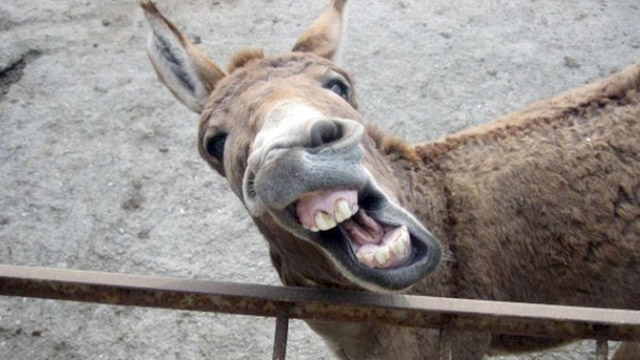 Türkçe bildiğiniz kelimelerin tuzağına düşmeyin 10