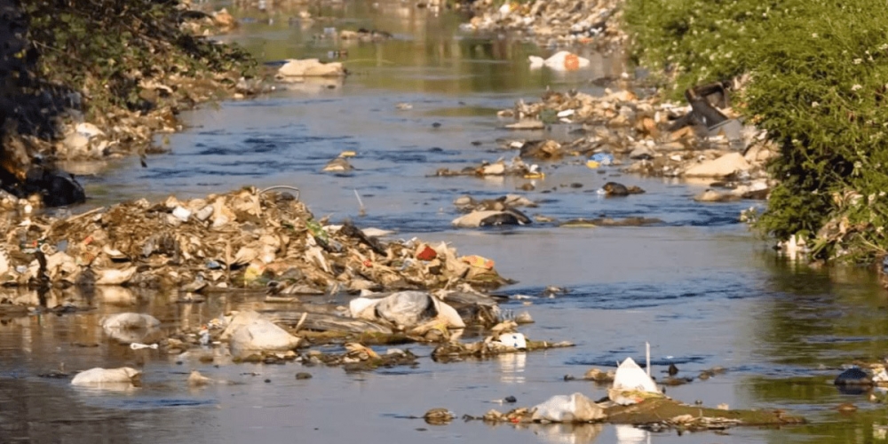 Türkçe bildiğiniz kelimelerin tuzağına düşmeyin 12