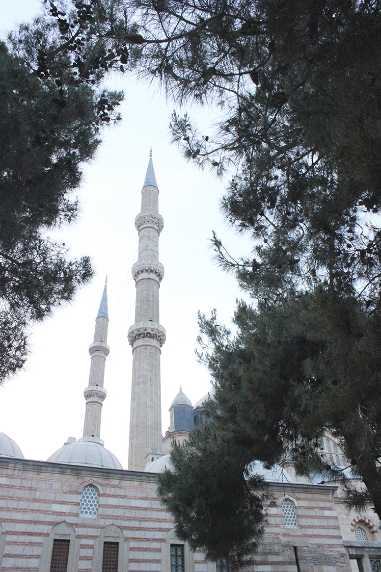 Dünya mirası Selimiye Camii 3