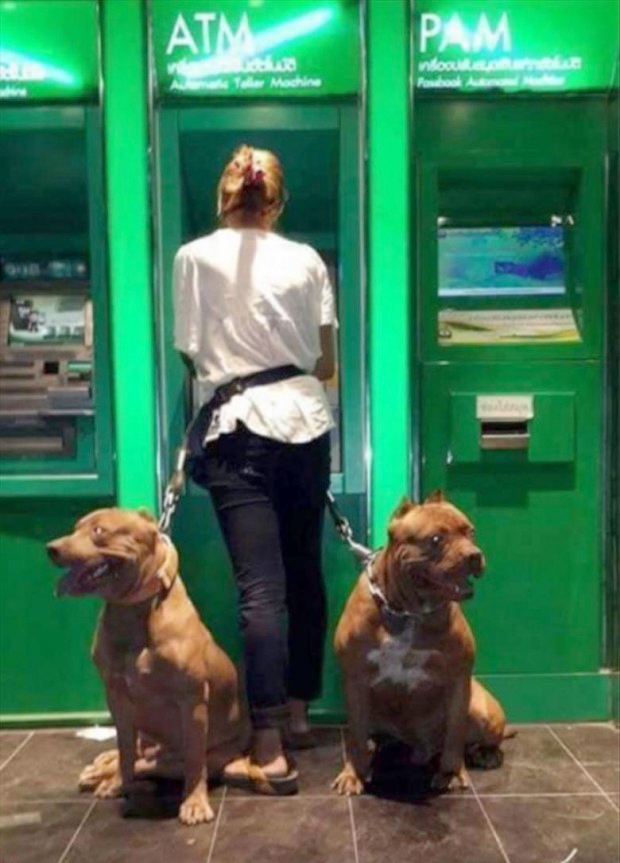 İçimizi ısıtan komik insan halleri 11