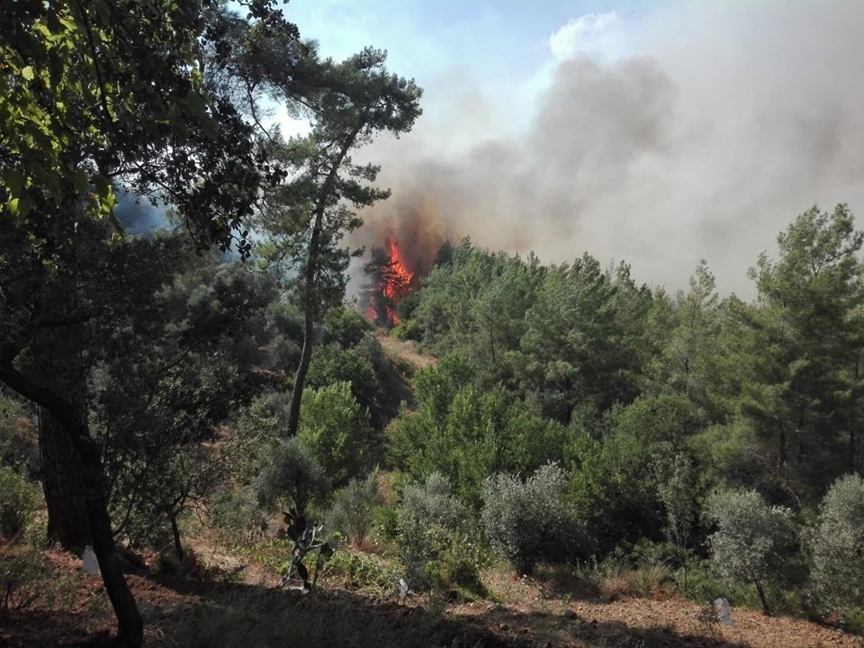 Muğla'daki orman yangını! 18 saat sonra kontrol altına alındı 13