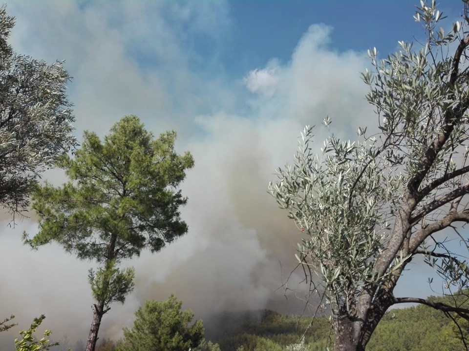 Muğla'daki orman yangını! 18 saat sonra kontrol altına alındı 19