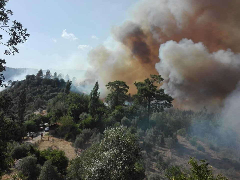 Muğla'daki orman yangını! 18 saat sonra kontrol altına alındı 22