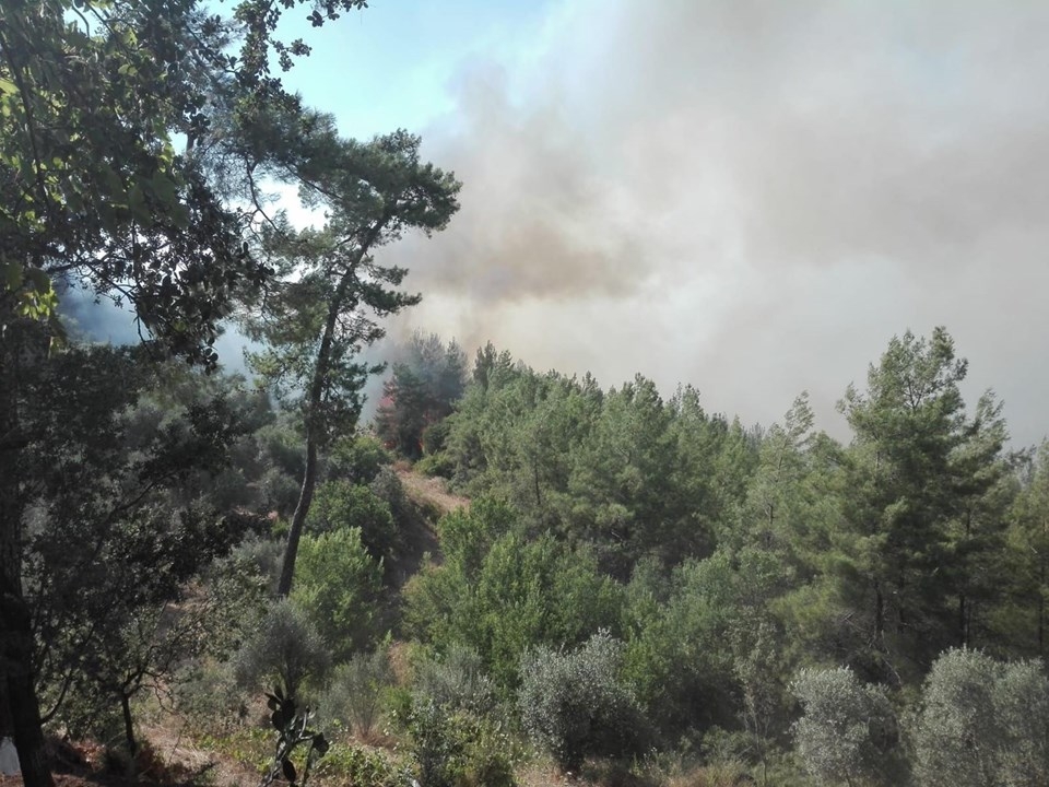 Muğla'daki orman yangını! 18 saat sonra kontrol altına alındı 27