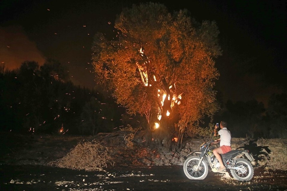 Muğla'daki orman yangını! 18 saat sonra kontrol altına alındı 31