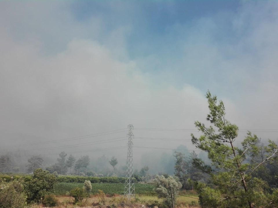 Muğla'daki orman yangını! 18 saat sonra kontrol altına alındı 36