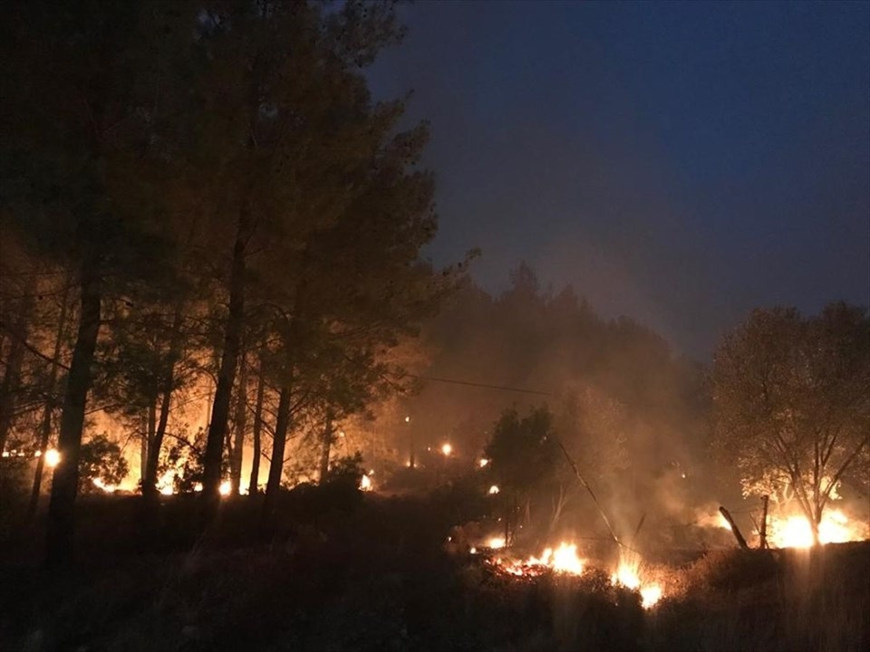 Muğla'daki orman yangını! 18 saat sonra kontrol altına alındı 39