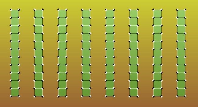 Gözlerinizin sizi yanıltmasına hazır mısınız? 10